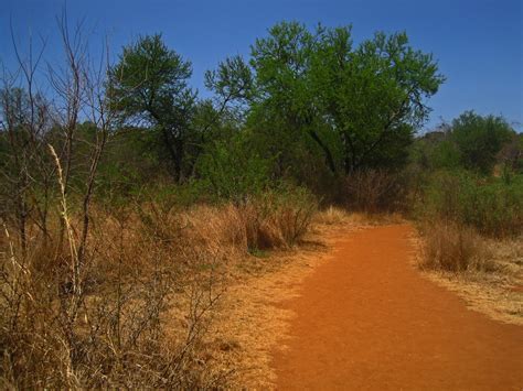 Dusty Trail In A Nature Reserve Free Stock Photo Public Domain Pictures