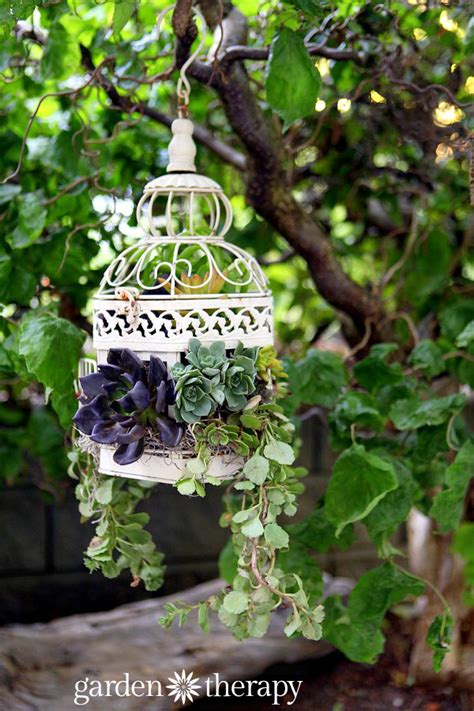 How To Make A Hanging Succulent Garden Hanging Succulents Make A