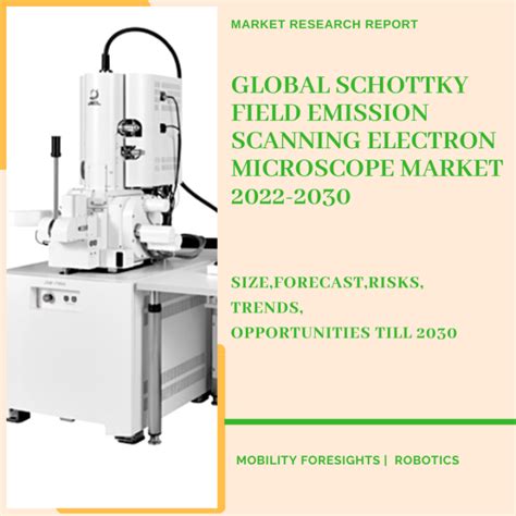 Global Schottky Field Emission Scanning Electron Microscope Market 2022