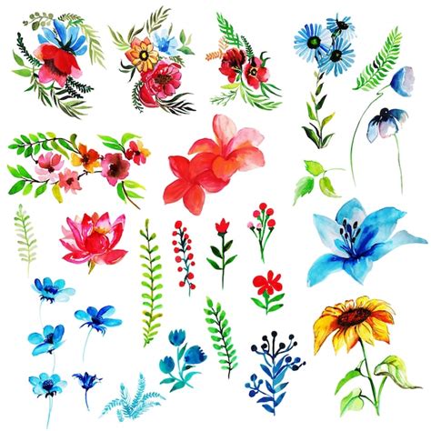 Aquarelle Printemps Floral Et Feuilles Collection Vecteur Gratuite