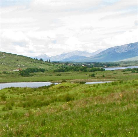 Meadow With Wildflowers © C Michael Hogan Cc By Sa20 Geograph Ireland