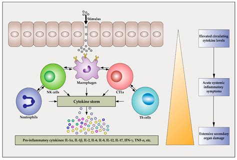 Ijms Free Full Text Pathogenesis And Treatment Of Cytokine Storm