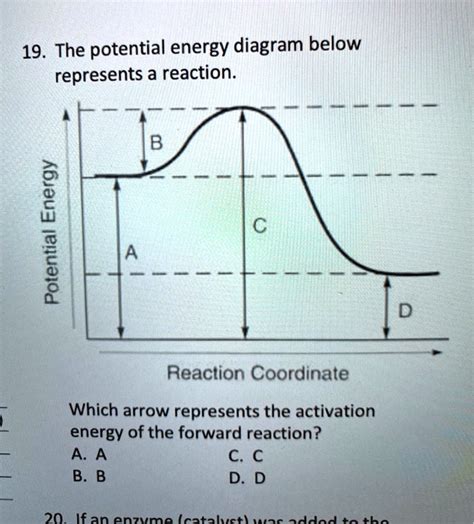 19 The Potential Energy Diagram Below Represents A Reaction B 6 1 Reaction Coordinate Which