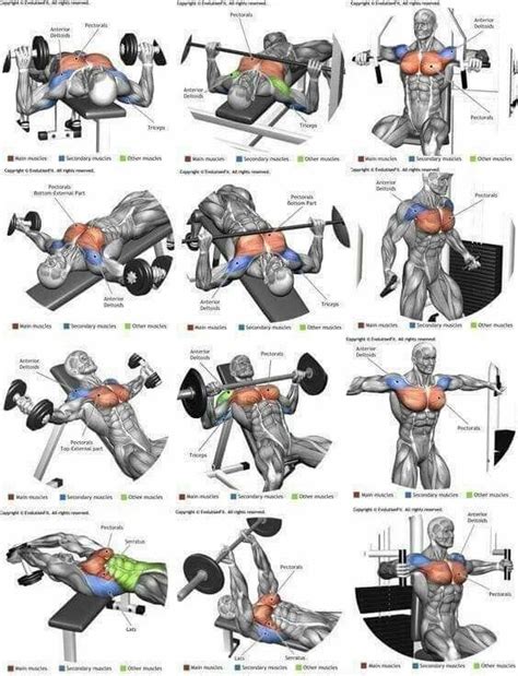 Chest Exercises Best Chest Workout Chest Workouts Bodybuilding Workouts