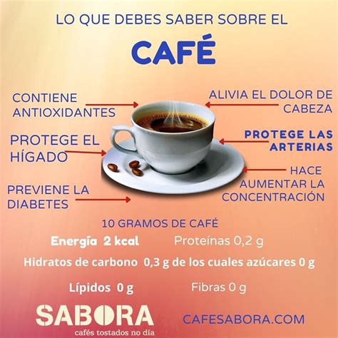 Los Efectos Del Caf En El P Ncreas Qu Debes Saber Latazadecafe