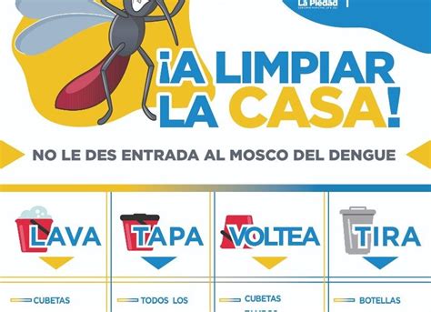 Inicia Campa A Contra El Mosquito Portador Del Dengue Info