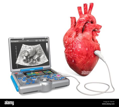 Concepto De Ultrasonido Cardiaco Corazón Humano Con La Máquina De