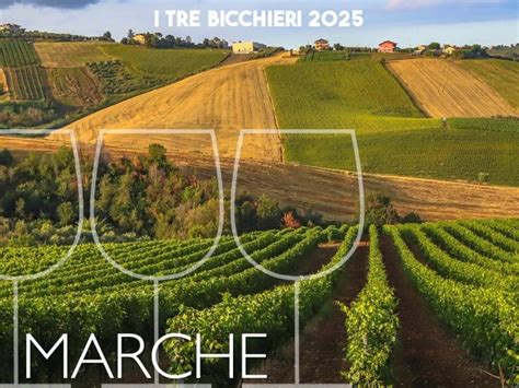 Tre Bicchieri Gambero Rosso 2025 I Vini Premiati Delle Marche