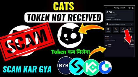 Cats Token Not Received Bybit Bitget Kucoin Cats Token Today Listing