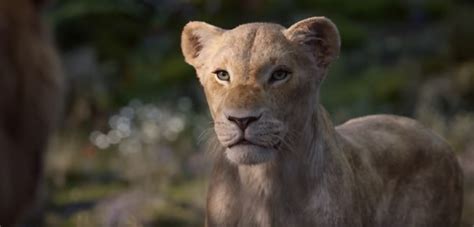 New Lion King Trailer Previews Beyoncé Knowles-Carter As Nala. | What's On Disney Plus