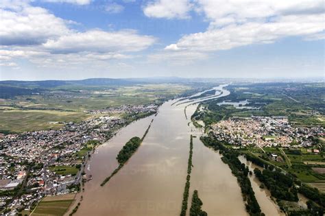 Deutschland Hochwasser Des Rheins Bei Ingelheim Und Oestrich