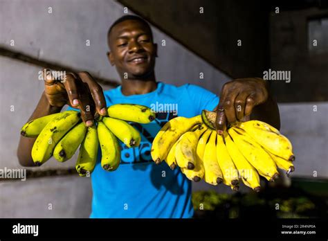 Gardener Gardener Chisomo Shaya Shows Banana Hands Of Different