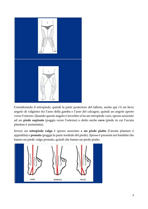 Solution Malattie Apparato Locomotore Completo Studypool