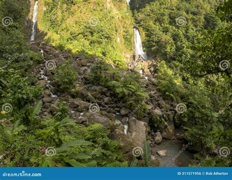 The Twin Falls of Trafalgar Falls in the Mountains of Dominica Stock ...