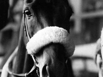 Red Rum | Horse, Facts, & Grand National | Britannica