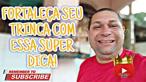 FORTALEÇA SEU TRINCA FERRO ESSA SUPER DICA YouTube