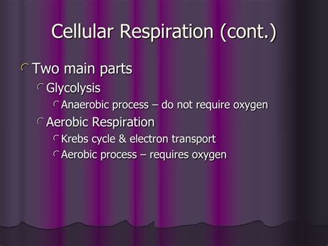 Ppt Chapter 8 Cellular Energy Powerpoint Presentation Free Download Id 9480117