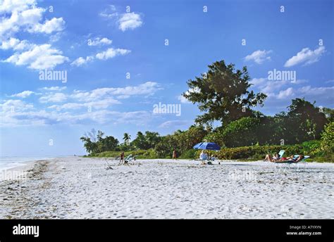 North America, USA, Florida, Sanibel Island. A beach on Sanibel Island ...