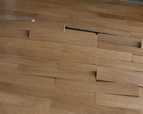 Silence Merde Salon Parquet Flottant Plancher Chauffant Nord Clater Dont