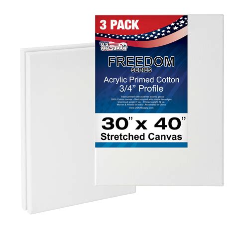 3 Pack of US Art Supply 30" x 40" Acrylic Primed Cotton Duck Stretched ...