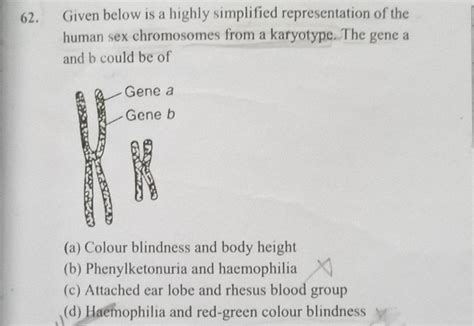 Given Below Is A Highly Simplified Representation Of The Human Sex Chromo