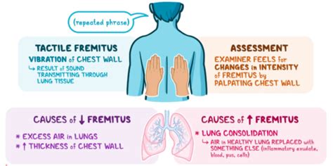 Chest Pain Flashcards Quizlet