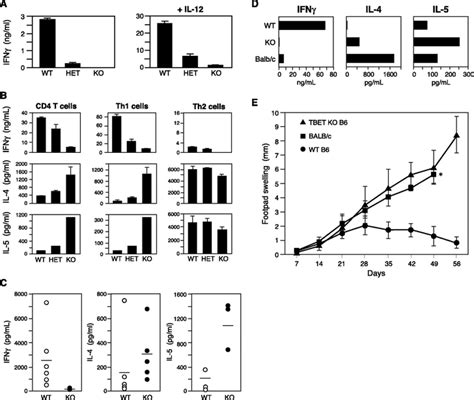 Distinct Effects Of T Bet In Th1 Lineage Commitment And Ifn γ Production In Cd4 And Cd8 T Cells