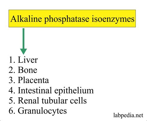 Alkaline Phosphatase Level Alp Labpedia Net