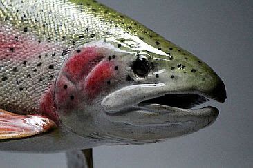 Hand Carved Rainbow Trout Sculpture Art By Yves Laurent