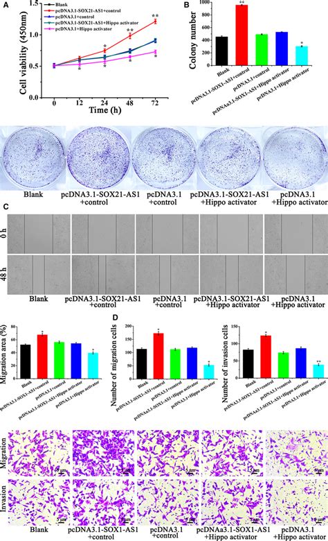 A Cell Viability Of Cscmcf Cells After Different Treatments