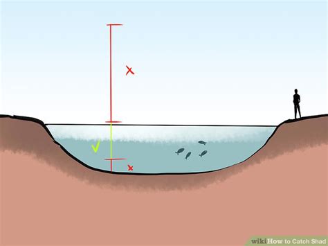 How To Catch Shad 13 Steps With Pictures Wikihow