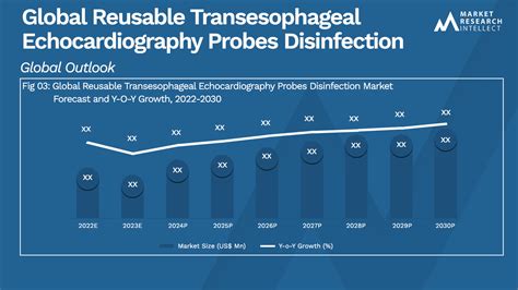 Reusable Transesophageal Echocardiography Probes Disinfection Market