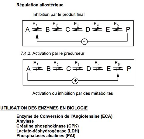 Cours Biochimie Structurale Enzymes