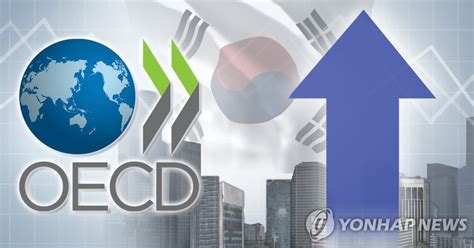 Oecd 올해 한국경제 33 성장 전망3개월만에 05p 상향조정 나무뉴스