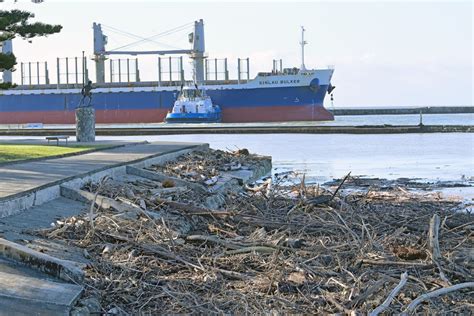 A sustainable vision for forestry in Tairāwhiti