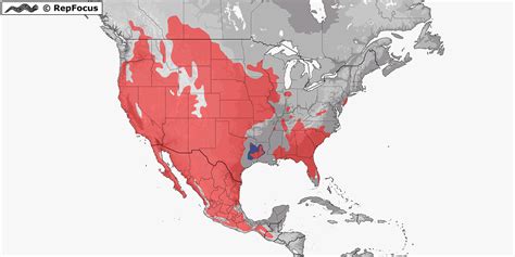 Distribution Of Pituophis Repfocus