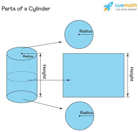 Base Area Of Cylinder Definition Formula And Examples