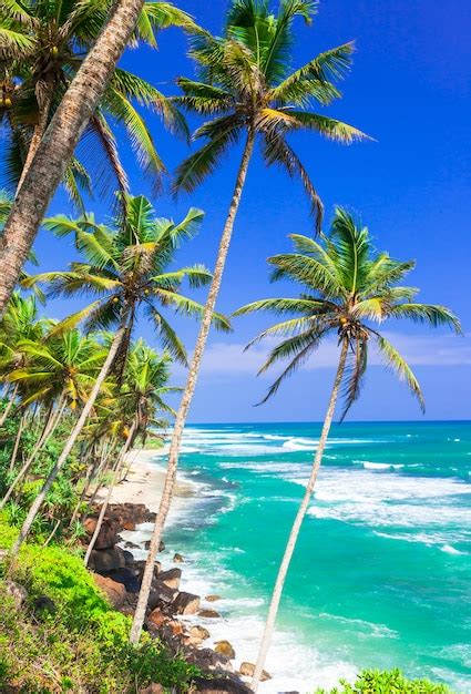 Premium Photo Beautiful Wild Tropical Beaches Of Sri Lanka Island