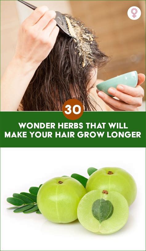 20 Best Herbs That Stimulate Hair Growth Naturally Artofit