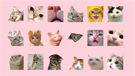 Lindos Emoticonos De Gatos Para Twitch Y Discord Twitch Meme