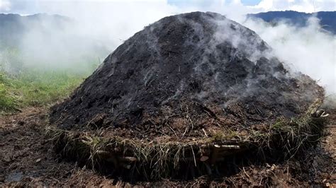 Presztízs lóg papír como se hace el carbon vegetal Bűntudat Mérges lesz