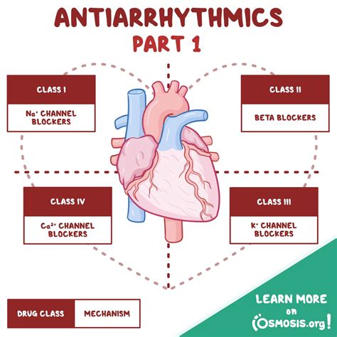 Osmosis On Twitter Antiarrhythmics Are Medications That Help Control