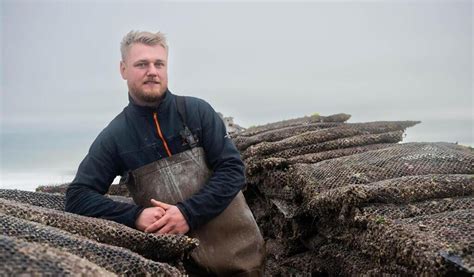 REPORTAGE En baie du Mont pourquoi les huîtres de Joris Daniel ont le