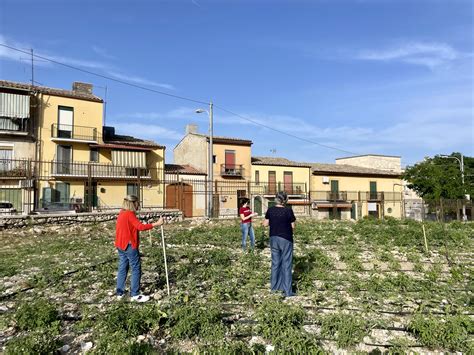 Curiamo E Puliamo Il Quartiere Angeli Ex Bocciodromo E Orto Sociale