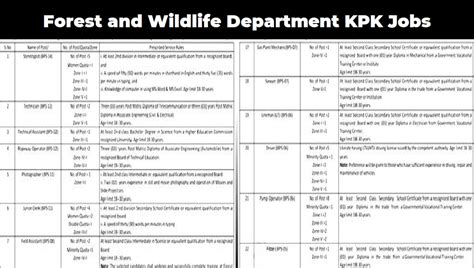 Forest And Wildlife Department Kpk Jobs 2022