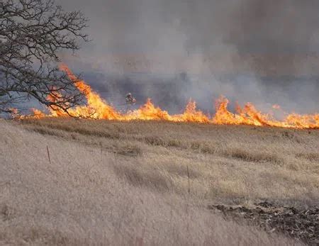 Wildfire conditions across much of Minnesota improving | The Mighty 790 ...