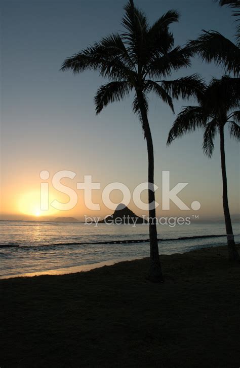 Tropical Sunrise Stock Photo | Royalty-Free | FreeImages