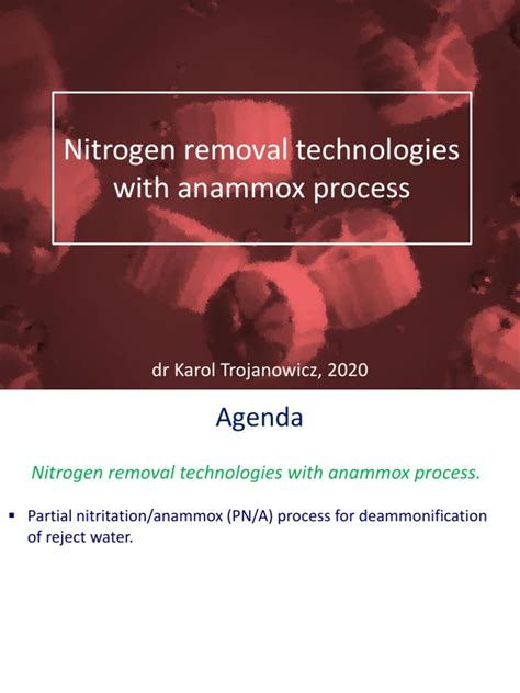 Nitrogen Removal With Anammox | PDF | Sewage Treatment | Sewerage