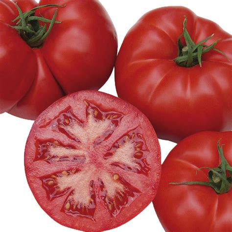 Unwins Organic Tomato Country Taste F1 Seeds Vegetables Unwins Uk