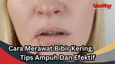 Cara Merawat Bibir Kering Tips Ampuh Dan Efektif Biotifor